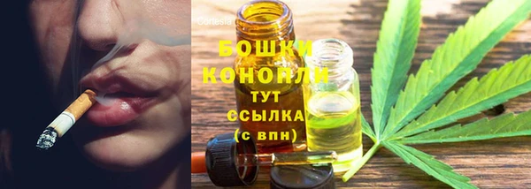 бошки Арсеньев