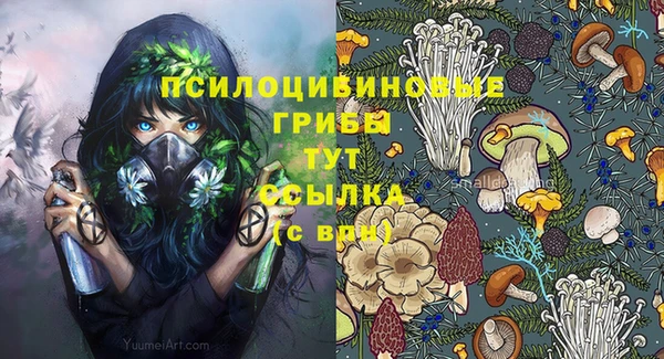 индика Аркадак