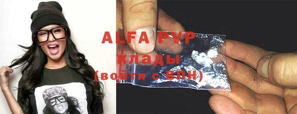 индика Аркадак