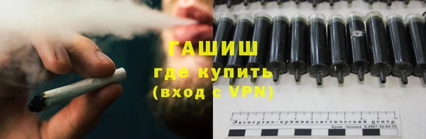 индика Аркадак