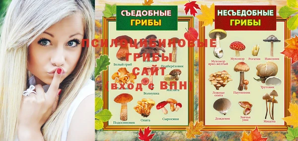 индика Аркадак