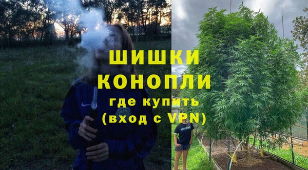бошки Арсеньев