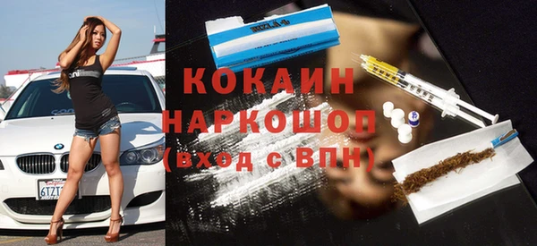 индика Аркадак