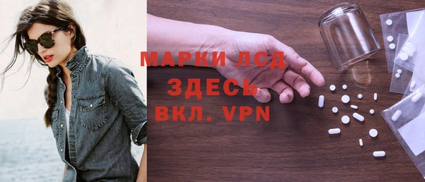 индика Аркадак