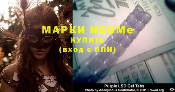 индика Аркадак