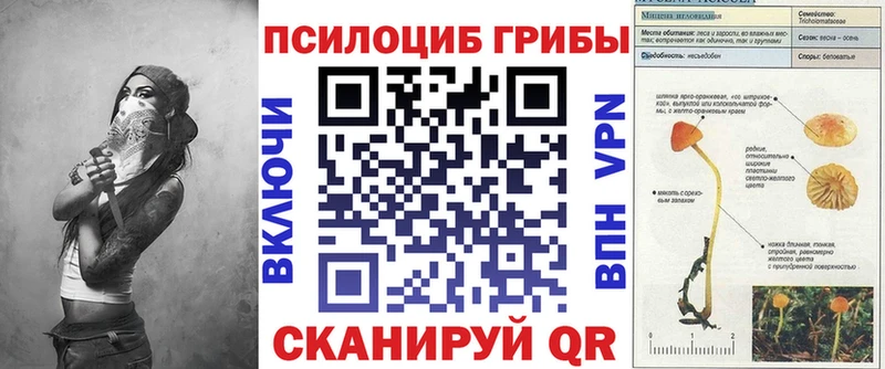 Галлюциногенные грибы Cubensis  купить наркотик  Снежинск 